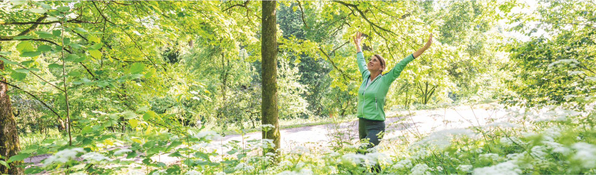Losaga - finde dein Gesundheitsglück
